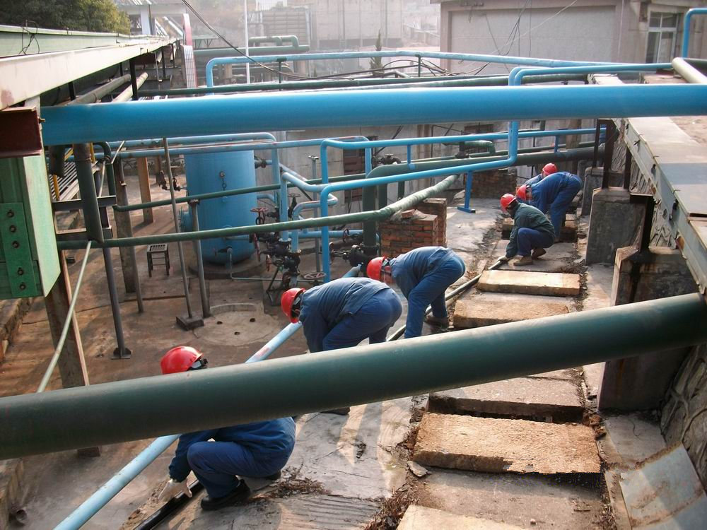 1581063014748064.jpg 01.jpg